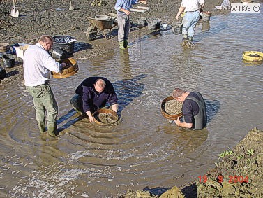 ... of met de handzeef in het water.