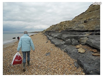 De kust bij Hordle Cliff