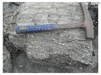 Schelpenbanken I